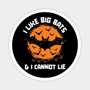 I Like Big Bats & I Cannot Lie // Funny Halloween Bat Rap Parody Magnet